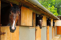 free Llanwyddelan stable construction quotes